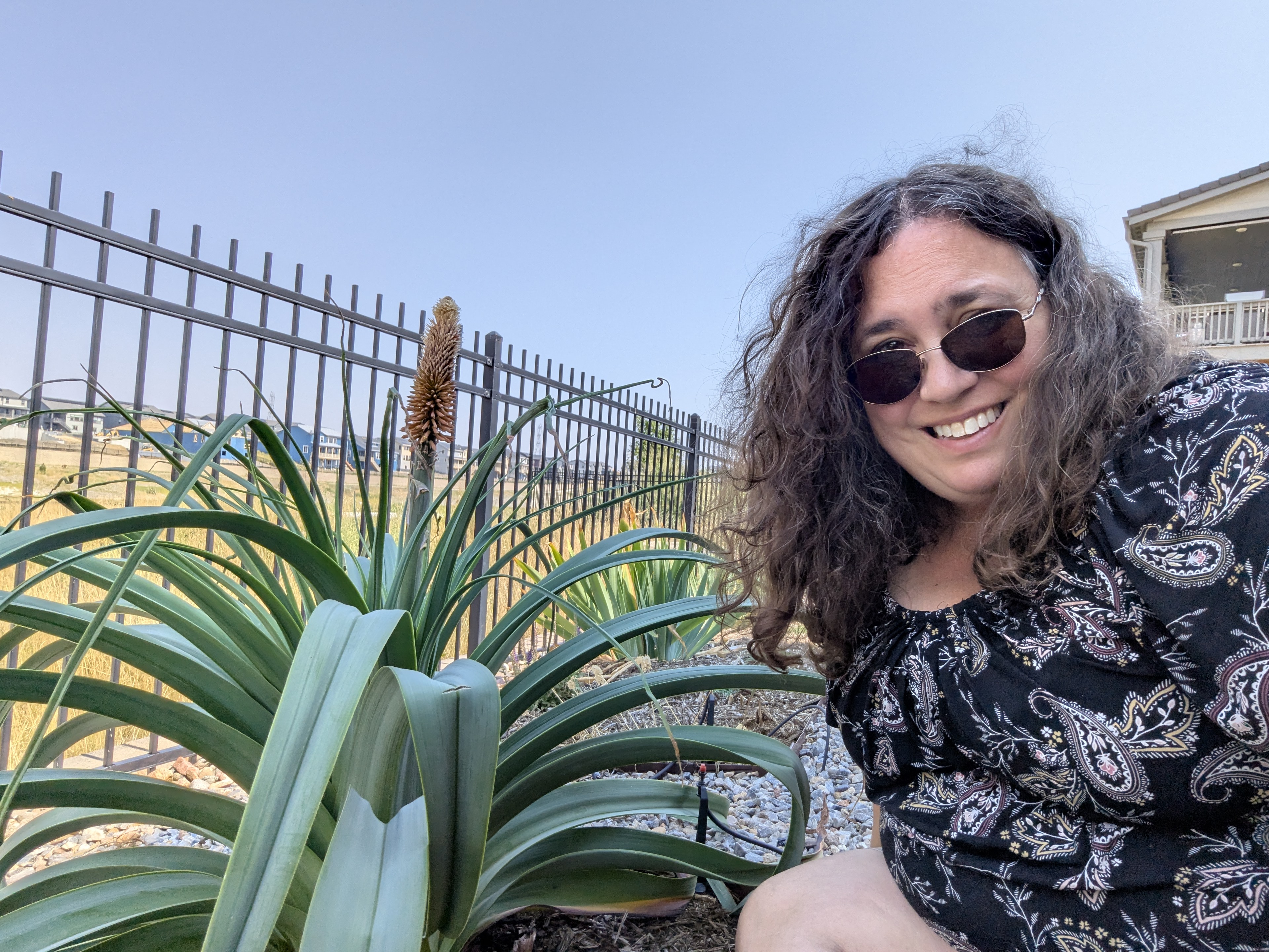 Garden, Torch Yucca, Kari Sanders, Morrison, Colorado